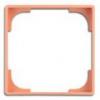 Decorative styling frame, apricot