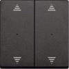 Rockers for 2-gang push-button module with up/down arrow imprint, Thermoplastic classy matt (anthracite)
